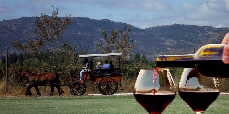 ¡Ven y disfruta tus vacaciones en el Valle de Colchagua!