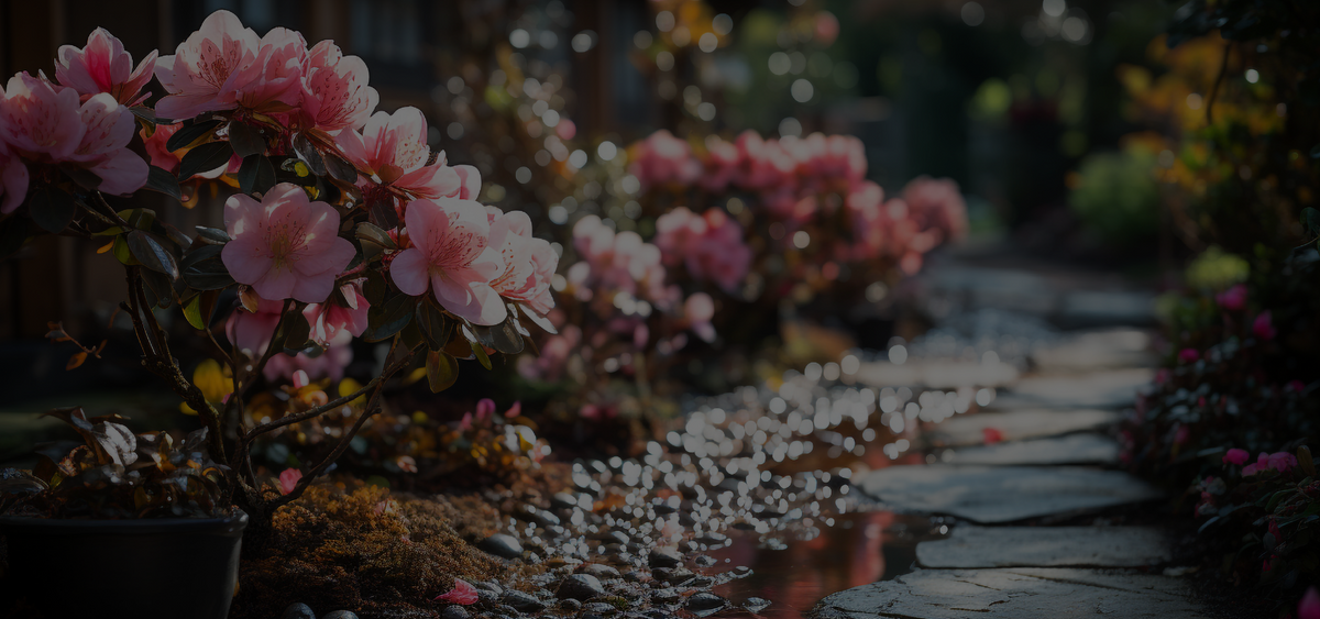 <strong>Nuevo Espumante Camelia Brut Rose</strong>